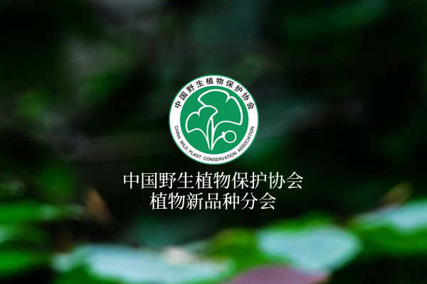 中国野生植物保护协会植物新品种分会-植物新品种权MG动画宣传片